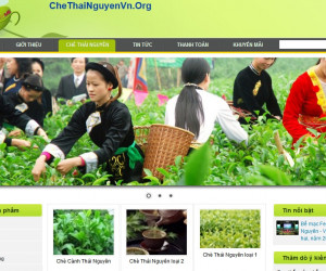 Themes green tea - website bán trà xanh Thái Nguyên Tân Cương 2